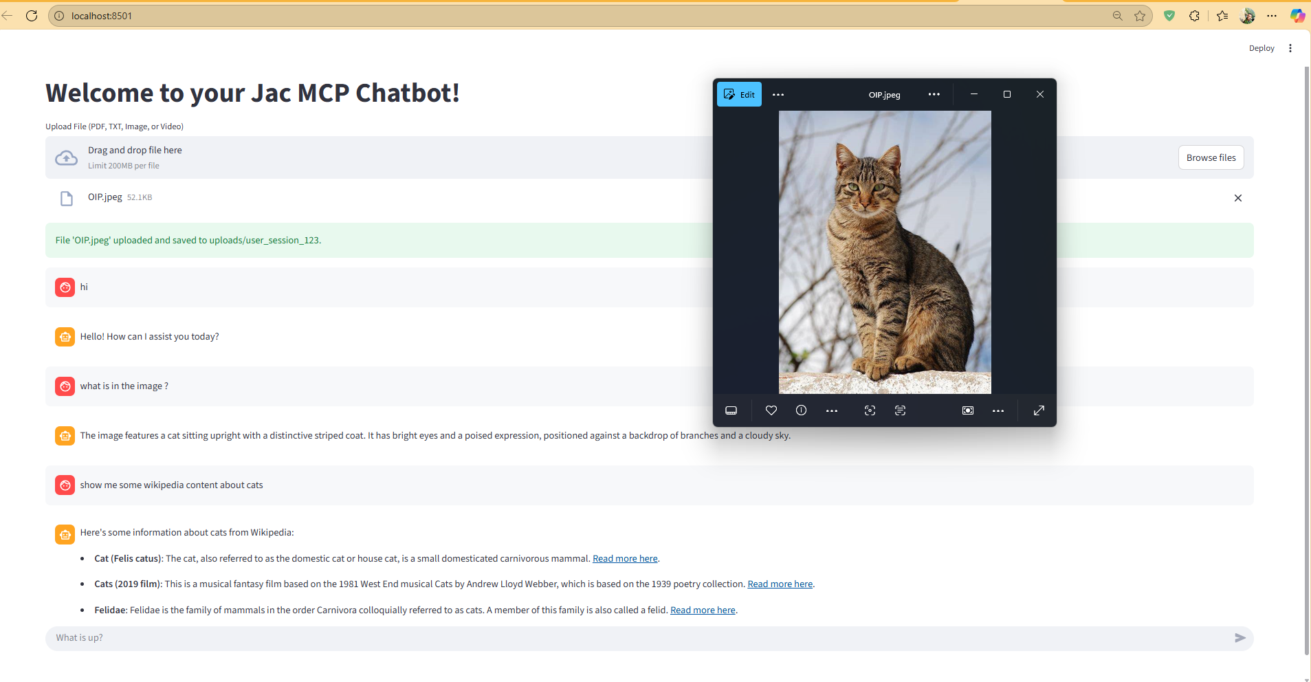 Chatbot Workflow